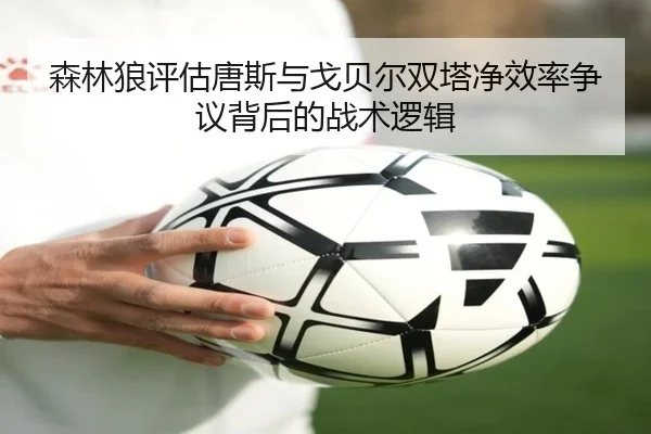 森林狼评估唐斯与戈贝尔双塔净效率争议背后的战术逻辑