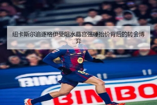 纽卡斯尔追逐格伊受阻水晶宫强硬抬价背后的转会博弈