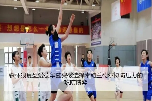 森林狼复盘爱德华兹突破选择牵动兰德尔协防压力的攻防博弈